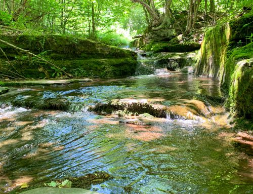 Babbling brook–216 St. Michael’s Place